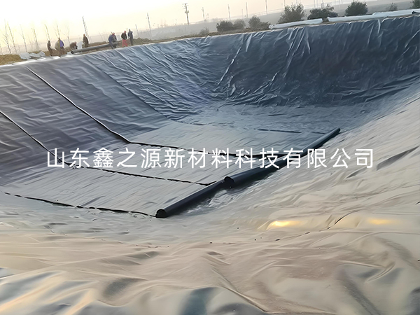 選擇防滲土工膜進(jìn)行小龍蝦養(yǎng)殖有哪些要點(diǎn)技巧？