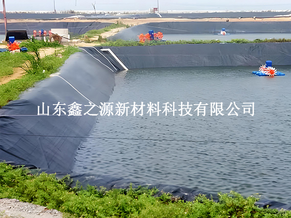 魚塘防滲膜存放技巧：輕松保鮮，以備不時之需