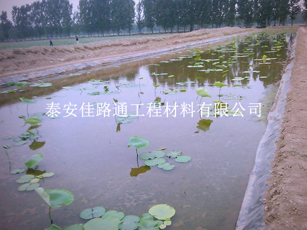 養(yǎng)殖防滲膜延伸率不足？根源在這些地方