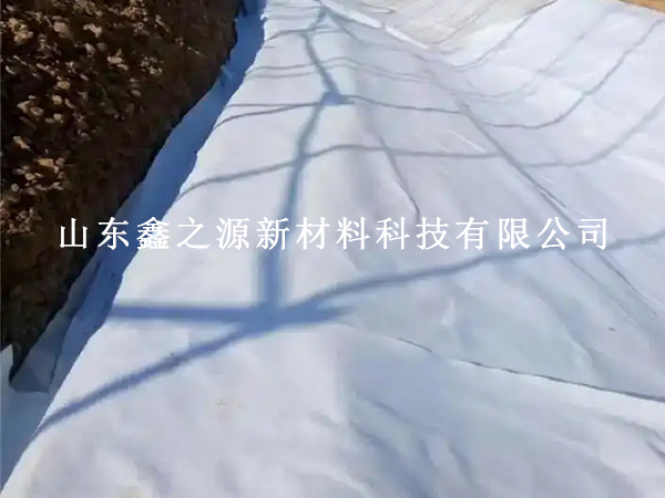 養(yǎng)護(hù)土工布水平鋪設(shè)總出問題？這些要求不懂就別開工